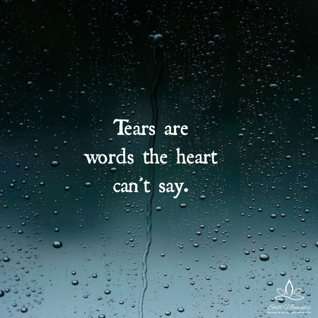 Tears Are Words The Heart Can t Say Still Moments