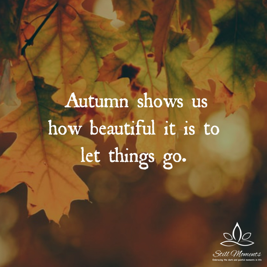Favorite Fall Quotes - Still Moments