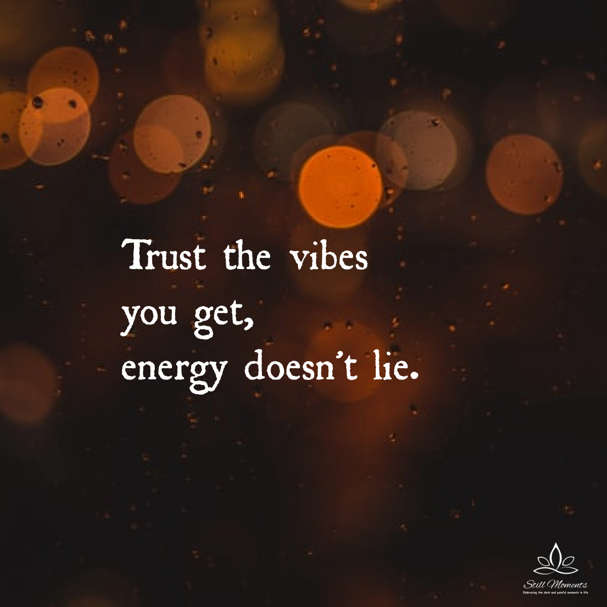 Trust The Vibes You Get - Still Moments