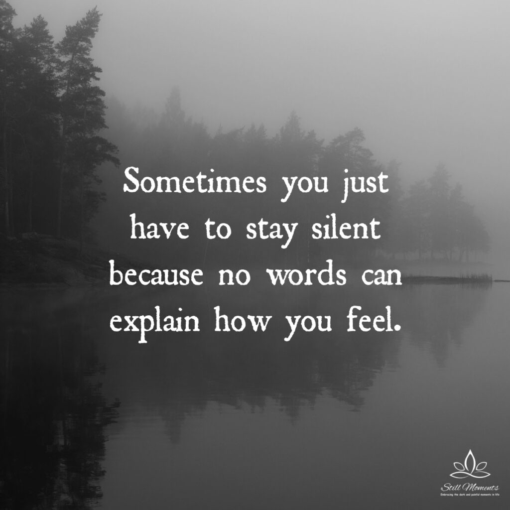 Sometimes You Just Have To Stay Silent - Still Moments