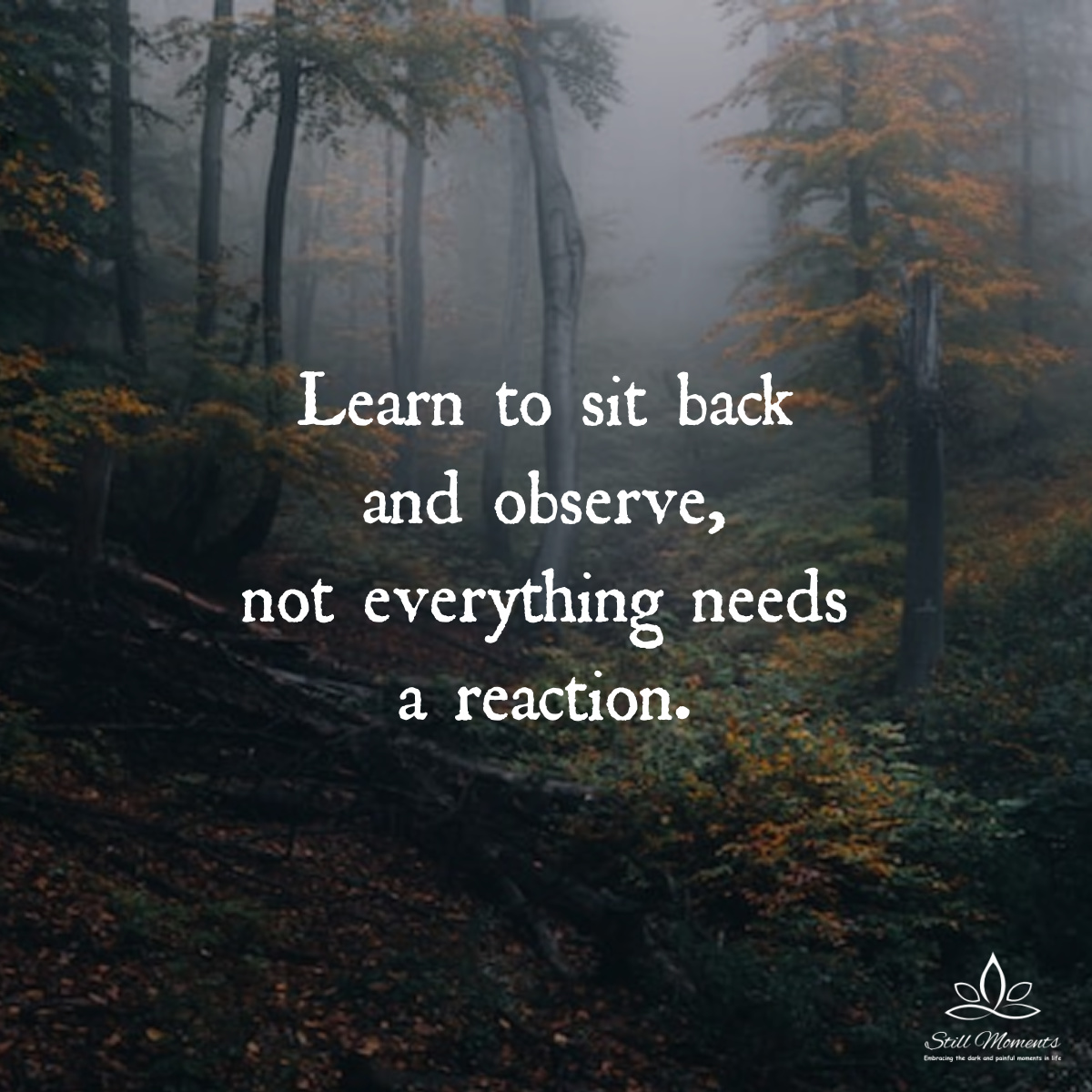 Learn To Sit Back And Observe, Not Everything Needs A Reaction - Still  Moments