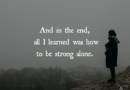 And In The End, All I Learned Was How To Be Strong Alone