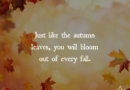 You Will Bloom Out Of Every Fall