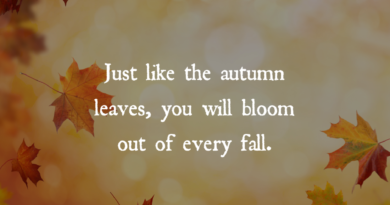 You Will Bloom Out Of Every Fall