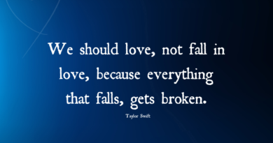 We Should Love, Not Fall In Love