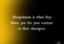 Manipulation Is When They Blame You For Your Reaction To Their Disrespect